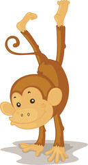 monkey