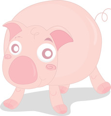 pig