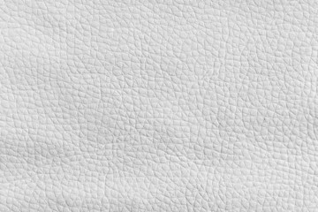 texture- leather surface