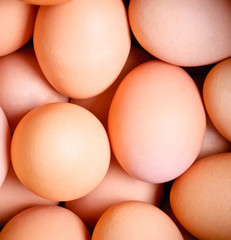 abstract eggs background