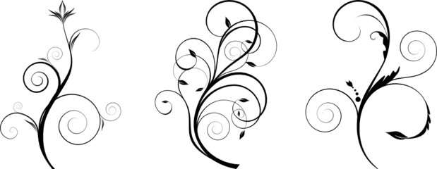 floral design elements