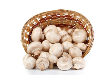 Fresh mushrooms in a basket