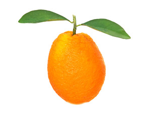 Orange isolated on white background