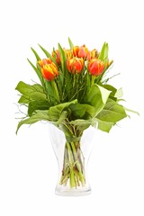 Tulpen,Blumenstrauß