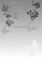 Fototapeta na wymiar grey illustration with cherry tree flowers