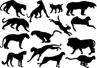 fourteen big cat silhouettes