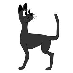 skinny black cat