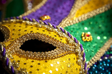 Mardi Gras Mask and Beads