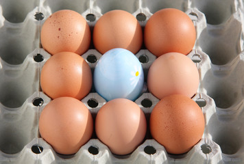 Eier