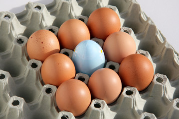 Eier