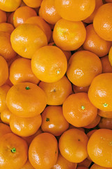 fresh mandarines