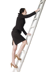 Woman climbing up the ladder © gemenacom