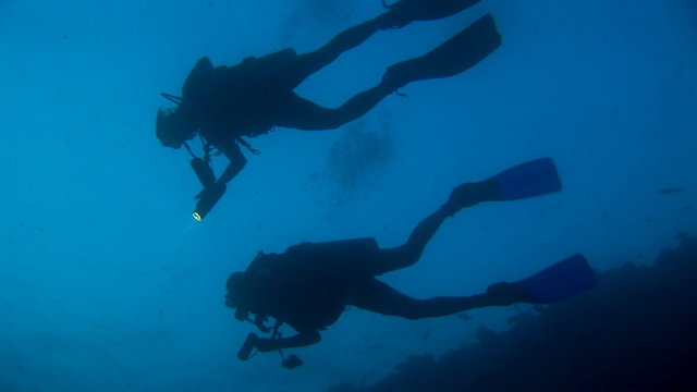 beginning of a night dive