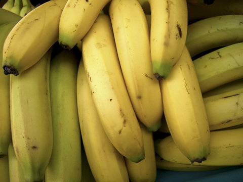 r&eacute;gime de bananes
