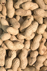 peanuts reflecting in sunlight