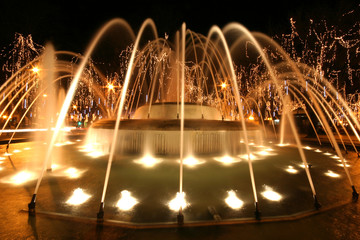 beautiful fountain night shoot in viseu - obrazy, fototapety, plakaty