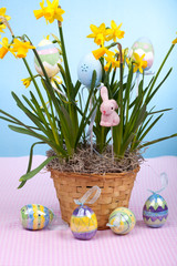 Basket of easter daffodils