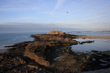 Fortification avec une mouette