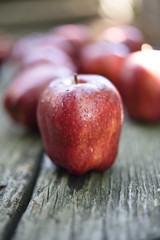 Red delicious apples