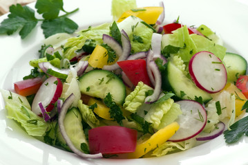 Gesunder Salat