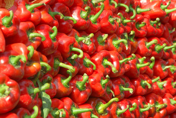 Gemüsepaprika rot II
