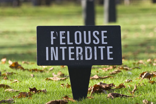 Pelouse Interdite