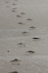 traces de pas dans le sable