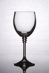 Wine glass