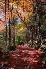 landscape pyrenees