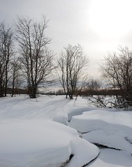 Paysage d'hiver, Aubrac, ruisseau