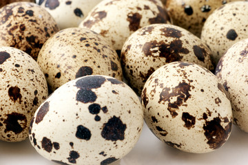 Quail eggs