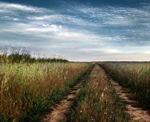 Obraz na płótnie Canvas Countryside tracks
