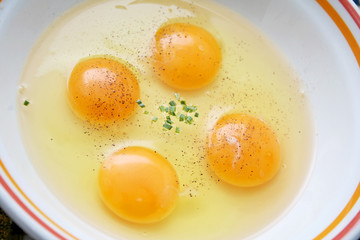 eier