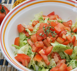 tomatensalat