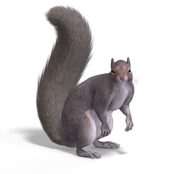 Squirrel 3D Render