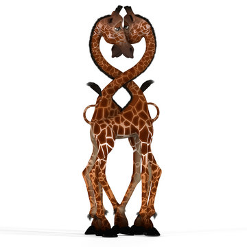 Cute giraffe with a funny face - lovely
