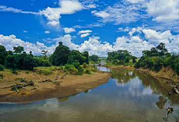 Fototapeta na wymiar Masai Mara Mara River