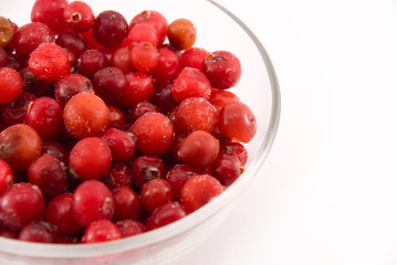 cranberry in a cup