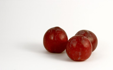 Obraz premium Drei Pflaumen