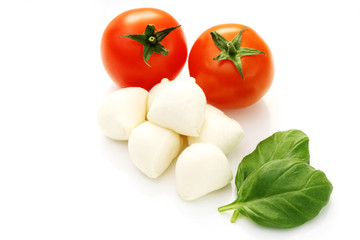 mozzarella and cherry tomatoes