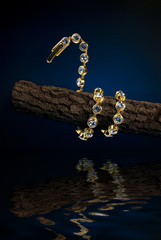 Snake shaped bracelet entwine round the branchlet