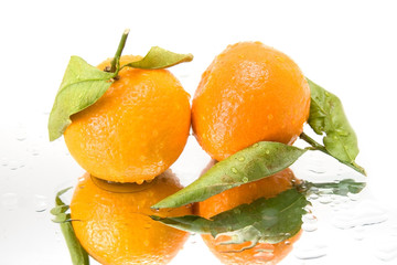 fresh mandarins  isolated on a white background