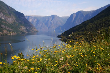 Fototapeta na wymiar Fjord: Sognefjord