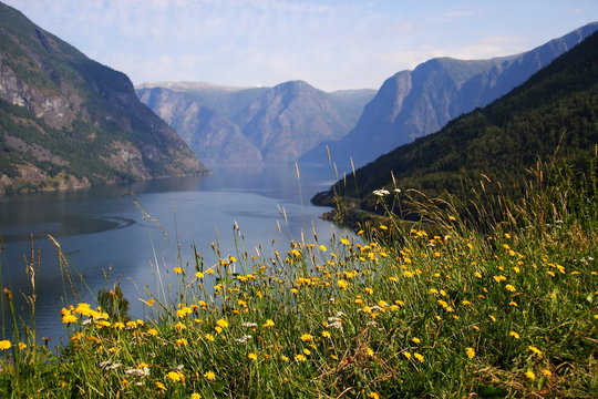 Fjord: Sognefjorden
