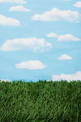 Fototapeta na wymiar Grass and sky background