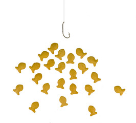 Feeding Frenzy