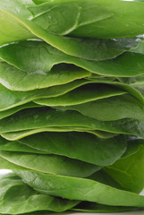 Spinach