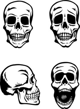Different skull drawings