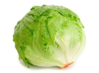 Cabbage lettuce isolated on white - obrazy, fototapety, plakaty