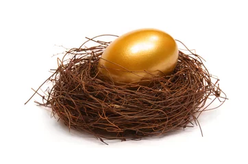 Schilderijen op glas Gold egg in a real nest © HP_Photo